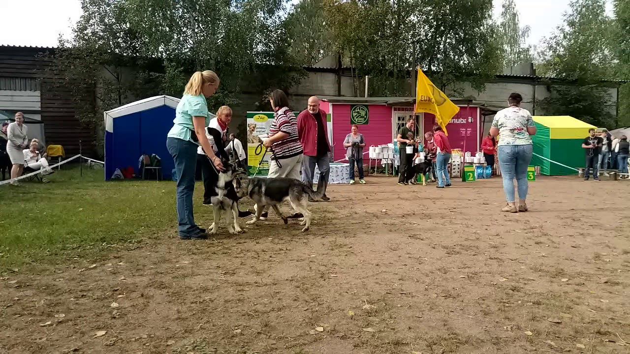 ЧК.2018 смотреть онлайн