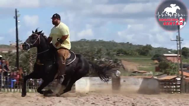 Boiada Preta - Alan Vaqueiro & Zoio preto - clip de vaquejada - [Vaqueiro Do Sertão] смотреть онлайн