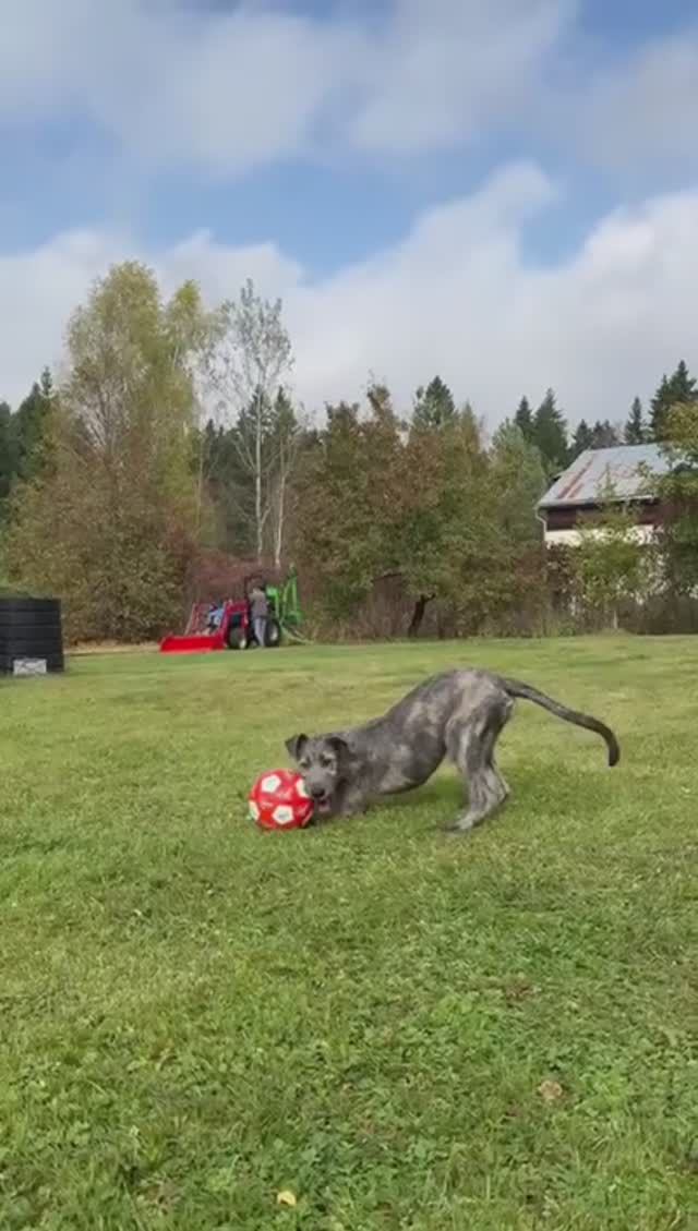 Футболистка  ⚽
