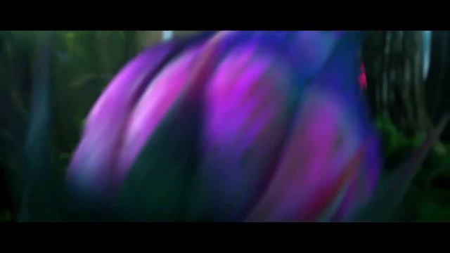League Of Legends - Summoner's Rift 🎍 - (AMV) смотреть онлайн