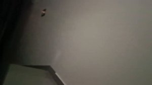 Пассажирские лифты (деревня Путилково), V=1 м-с, г-п 1000 кг (2), музыкальные лифты ЩЛЗ