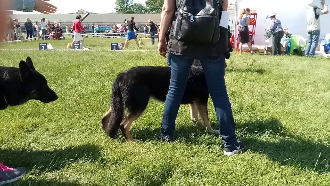 Конкурс производителей смотреть онлайн