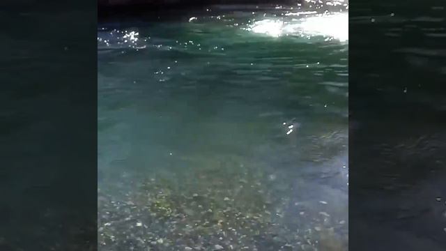 Отдых в долине Аксаута смотреть онлайн