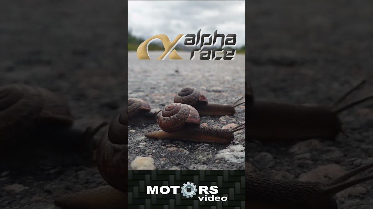 27 апреля 2023 г. смотреть онлайн