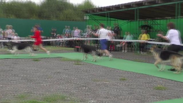 Сравнение на ЛК смотреть онлайн