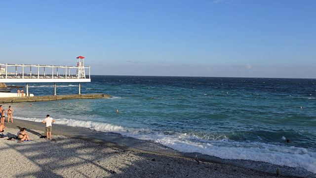 Чайки высматривают добычу на Массандровском пляже в Ялте смотреть онлайн