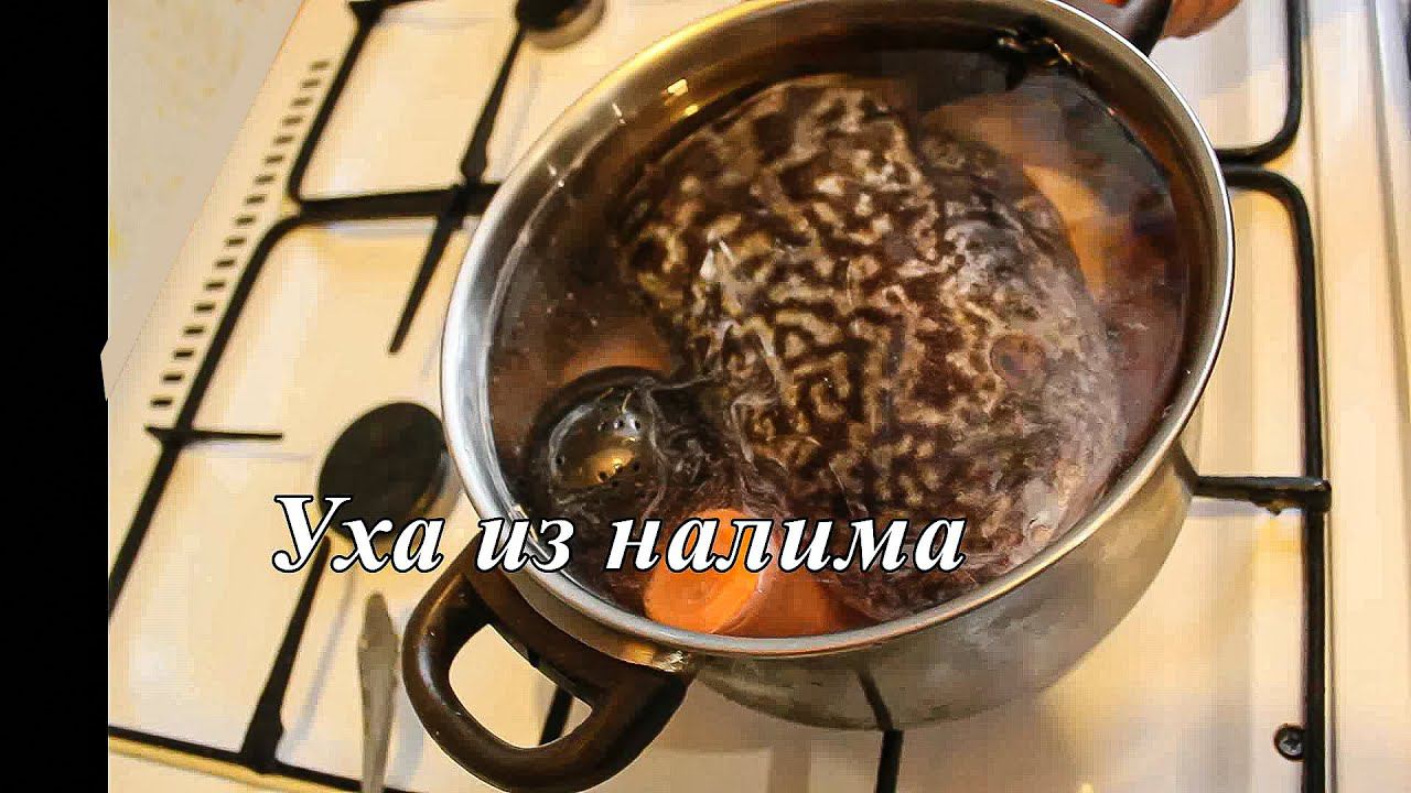 Вкусная уха по рецепту моего деда смотреть онлайн