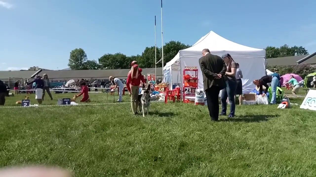 4 июня 2018 г. смотреть онлайн