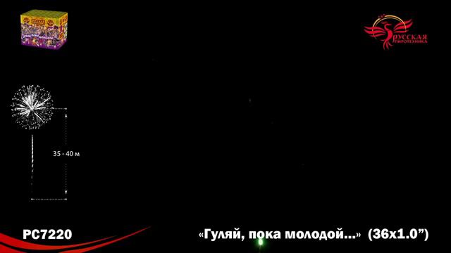 Фейерверк РС7220 Гуляй пока молодой (1 х 36 залпов) смотреть онлайн