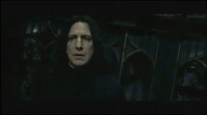 Северус Снейп и Лили Поттер. Нас бьют, мы летаем.