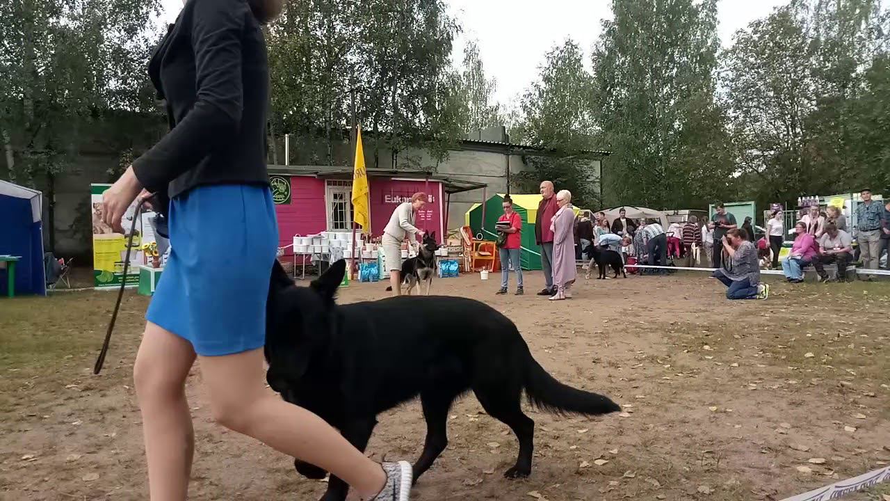 ЧК Юниоры Суки смотреть онлайн