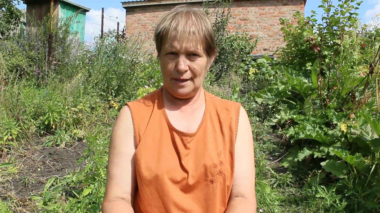 Фиолетовый картофель смотреть онлайн