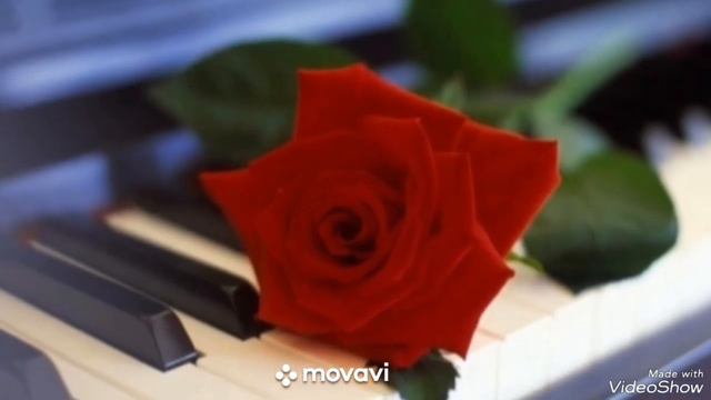 И.Брамс... Венг.танец N1...