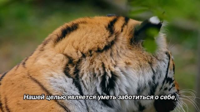 "Справляться с семьей". 2 октября. Мелоди Битти. Ежедневник для созависимых. смотреть онлайн