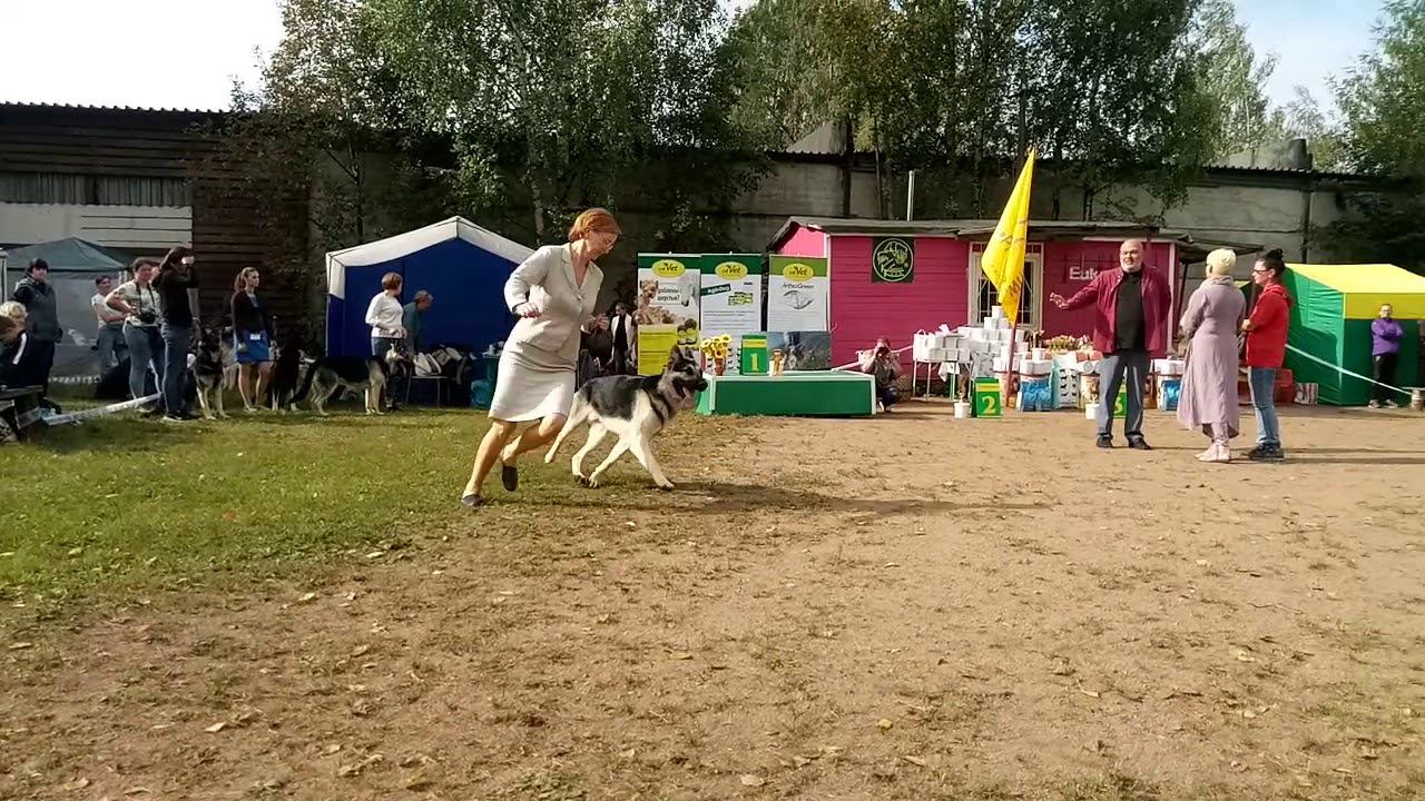 9 сентября 2018 г. смотреть онлайн