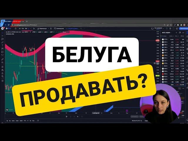 Белугу продавать или покупать? Обзор на акции Белуга смотреть онлайн