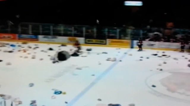 Mark Rassell Medicine Hat Teddy Bear Toss goal Dec2014 смотреть онлайн