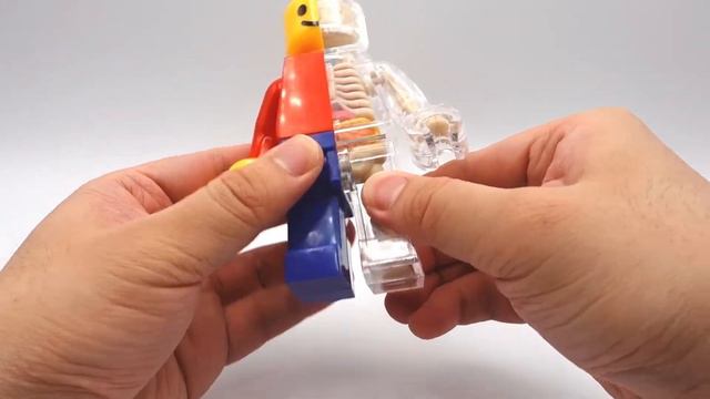 Brick Man (Jason Freeny Anatomy Figure - Not Lego) Unbox & Review смотреть онлайн