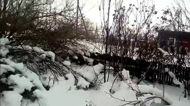 ДВА ТИПА ШКОЛЬНИКОВ смотреть онлайн