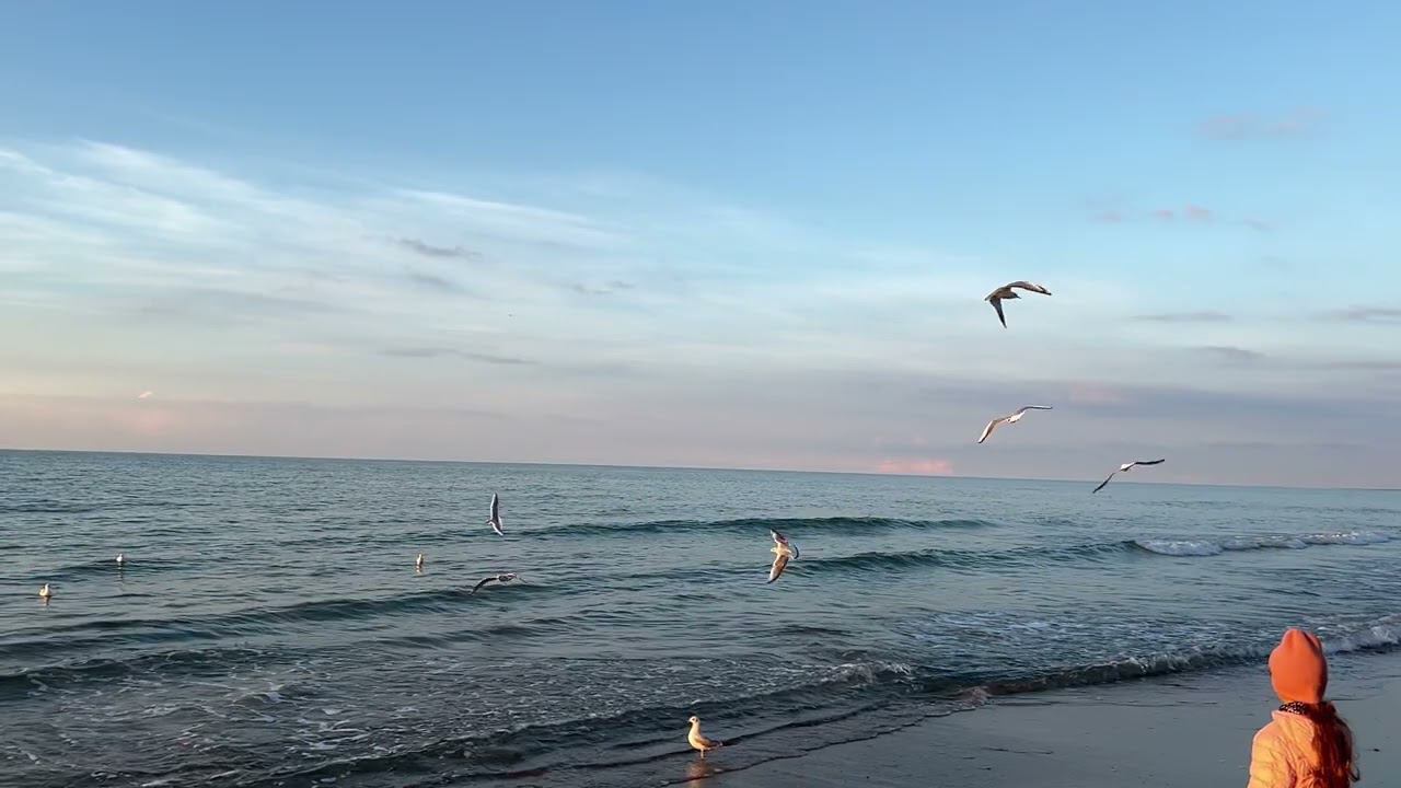 Закат в Зеленоградске