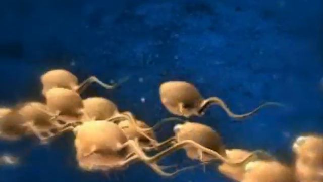 Polina Griffith - Just Another Love Song