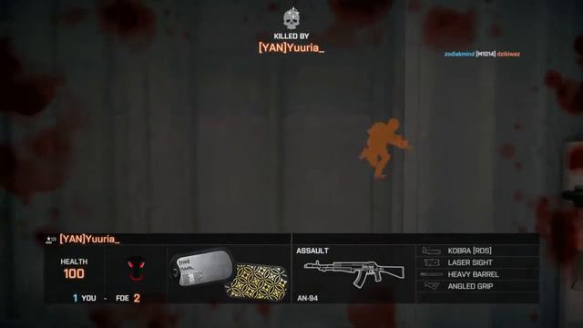 Battlefield 4, but if I get killed by an AEK-971, the video ends! смотреть онлайн