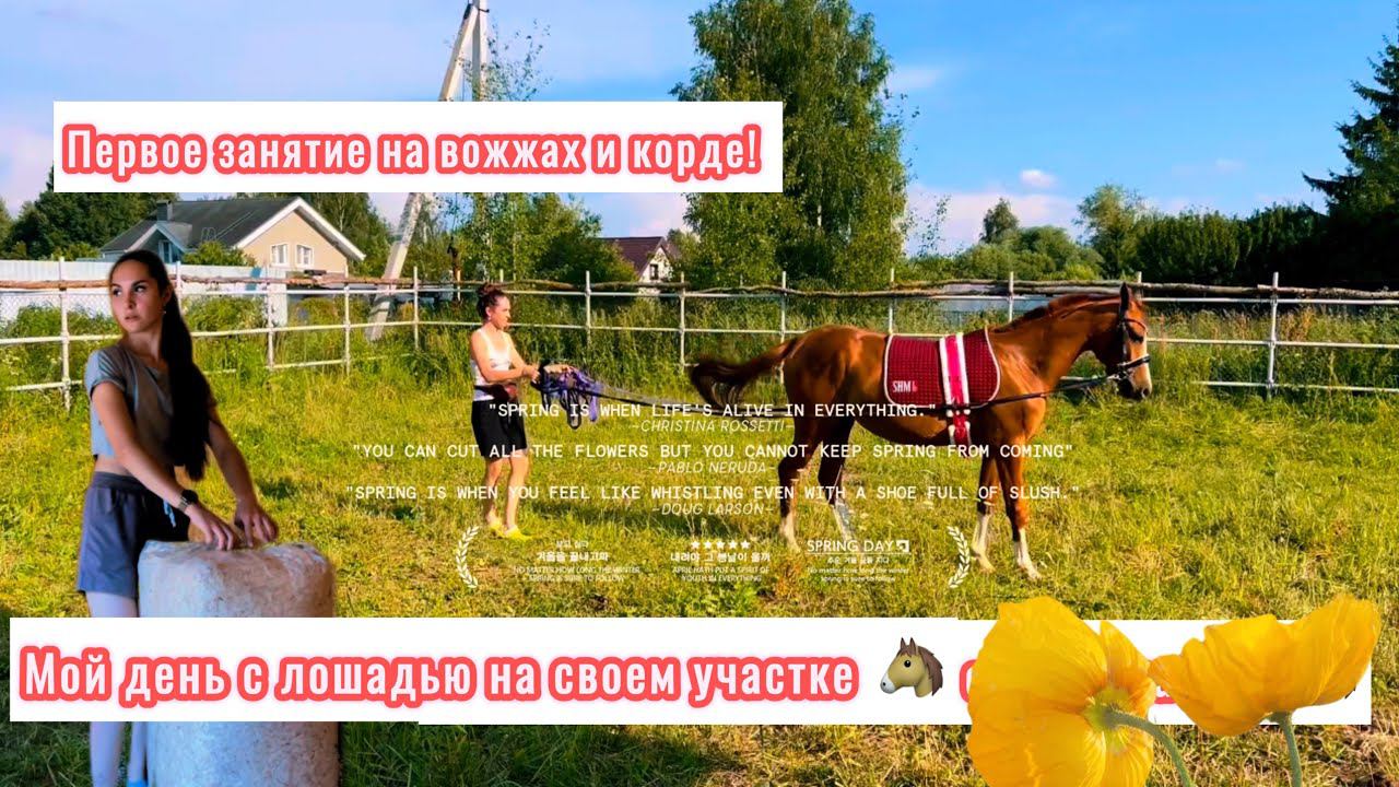 ✨Мой день с лошадью на своем участке | Один день из жизни коневладельца✨ смотреть онлайн
