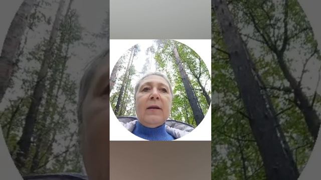 Простохорошийдень.mp4