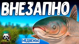 РУССКАЯ РЫБАЛКА 4. СЛУЧАЙНО МОГУТ СЛУЧИТЬСЯ И ТАКИЕ ВНЕЗАПНОСТИ РР4