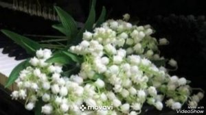 (3)... оркестр Поля Мориа...
