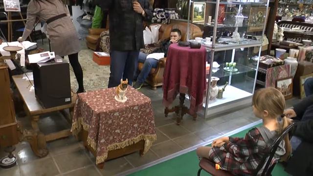 Блошиный рынок РЕТРО - аукцион смотреть онлайн