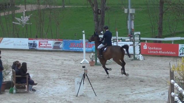 Heiniger-Pferde.com Stolzenberg x Akut 2006 смотреть онлайн