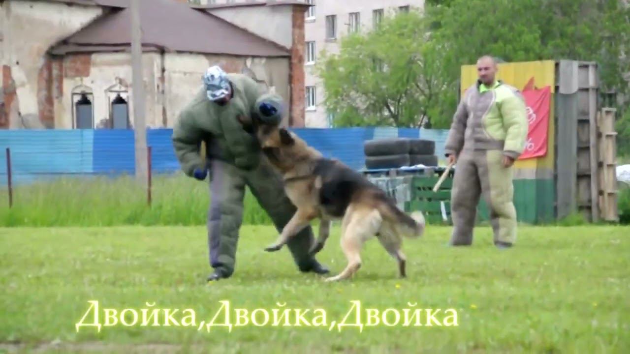 ПАХАН БОЛЬШОЙ РУССКИЙ РИНГ гр."Б" смотреть онлайн
