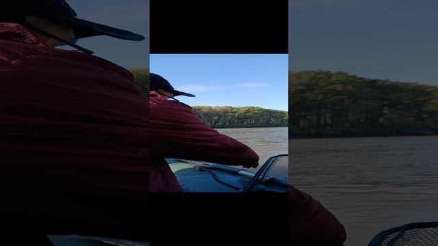 Ловля ЛЕЩА с Лодки. смотреть онлайн