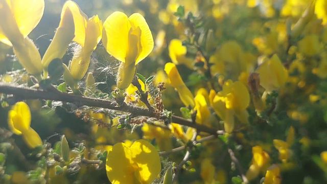 Один, глядя в лужу, видит в ней грязь, а другой — отражающиеся в ней звёзды. Иммануил Кант