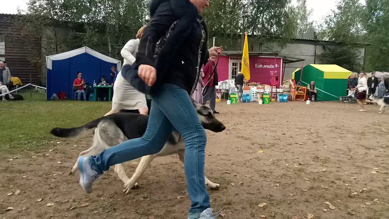 Фиелисс Уфа смотреть онлайн