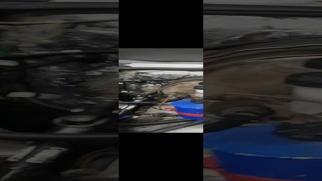 VID_20240202_184315.mp4