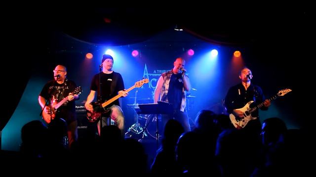 A Tribute To Accept   Son Of A Bitch   Kajskjulet