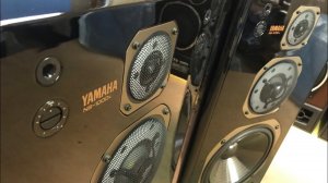Yamaha NS-1000x