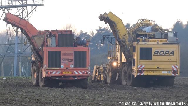 Farming in Essex - Sugar beet harvest with Ropa Tiger & Holmer beet chaser! Part one of two. [20] смотреть онлайн