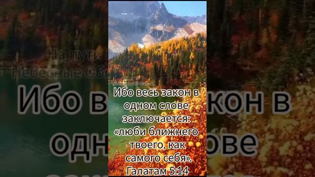 Доброго и благословенного воскресного утра! смотреть онлайн