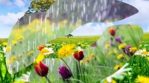 я выйду за город...