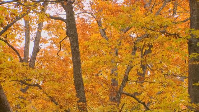 Giovanni Marradi - The Best Of Giovanni Vol.1