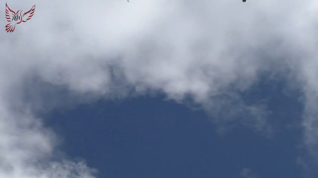 Голуби. 10.07.2020г. смотреть онлайн