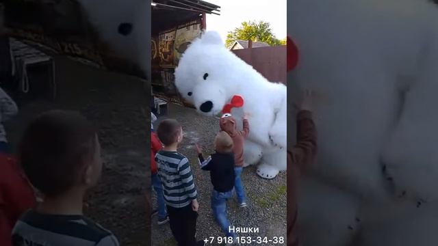 Солнечный мишка на радость детям и взрослым !Поздравление от белого медведя смотреть онлайн