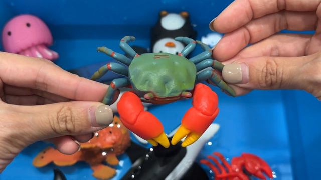 Learn Sea Animal Names and Facts I Sea Animals For Kids I Ocean Creatures смотреть онлайн