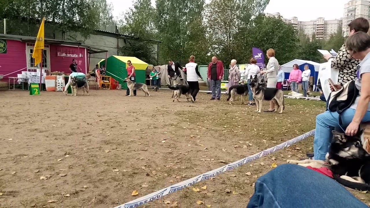 Сравнение на ЛС смотреть онлайн