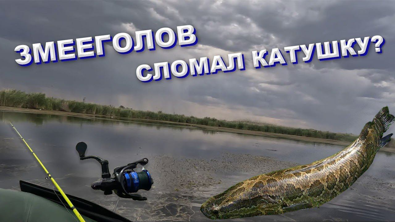 Рыбалка на змееголова. ЗМЕЕГОЛОВ СЛОМАЛ КАТУШКУ!!!?