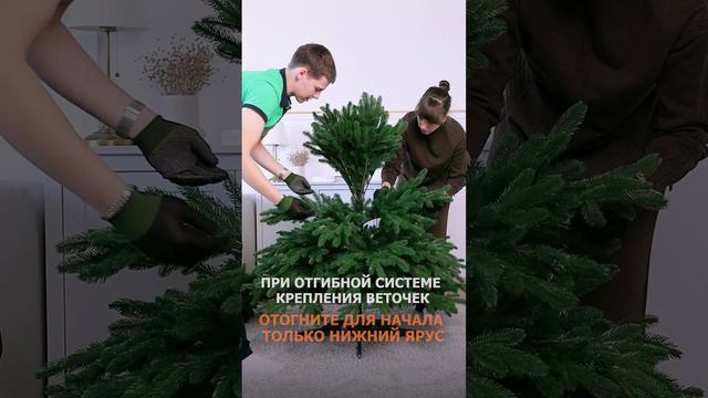 Как собрать и расправить литую искусственную елку? Сборка искусственной елки. смотреть онлайн