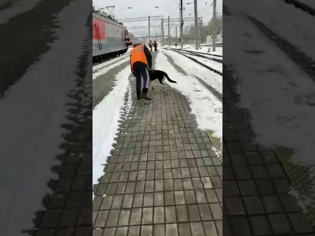 От него отказалась хозяйка и девочка едет в Питер смотреть онлайн